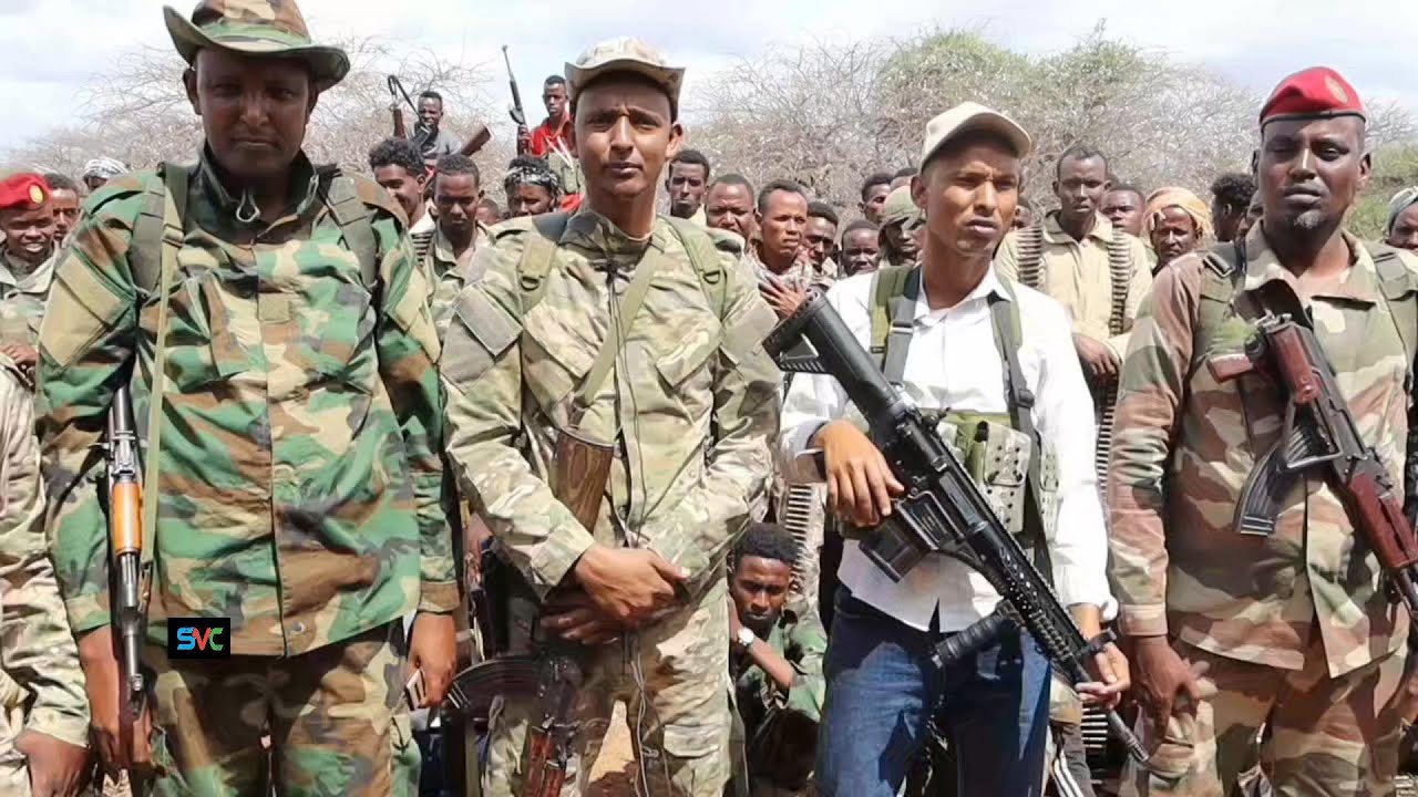ABOW EELEY GAALJECEL WAA KA XAARAAN INTA U DHEXEYSA BUURHAKABA IYO WANLAWAYN (4142)