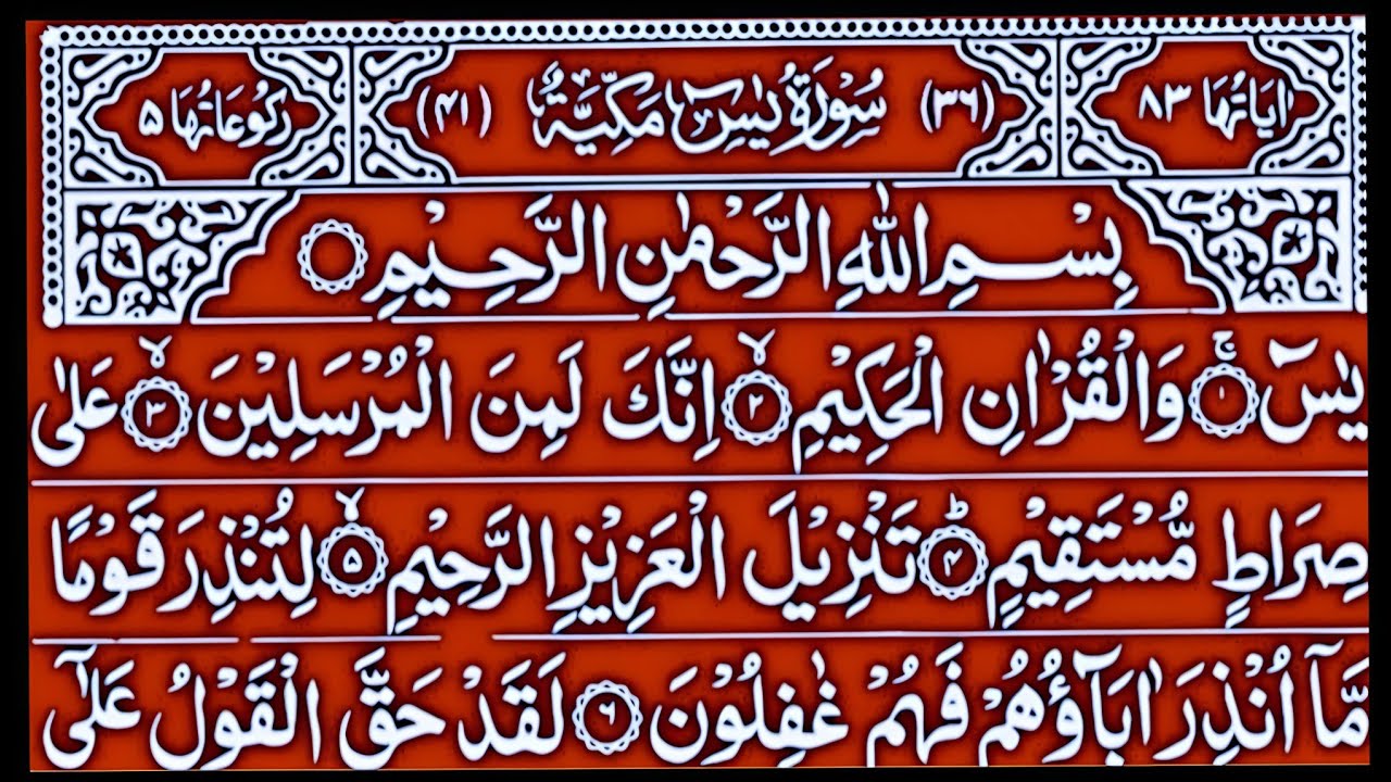 Surah Yasin Surah Rahman | Beautiful Recitation Surah Yaseen Surah Rahman Full | Quran Tilawat | 149