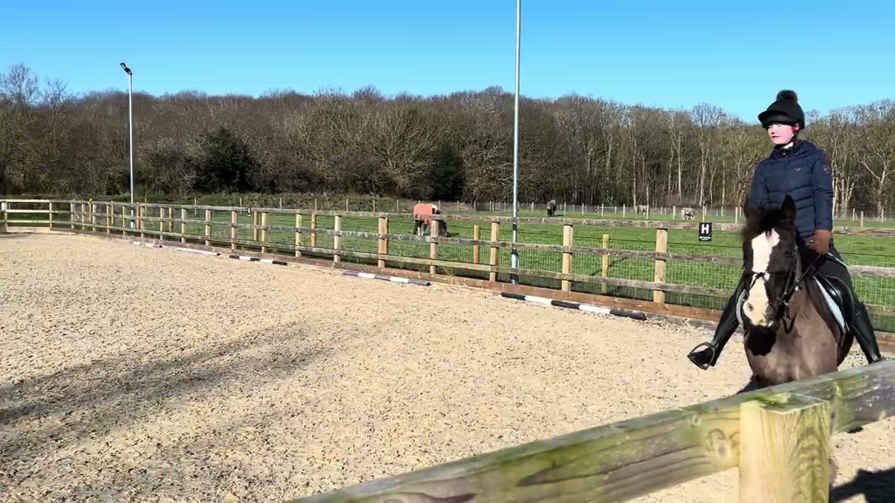 Olive Jacks & Toby CDRC Feb. Intro 1