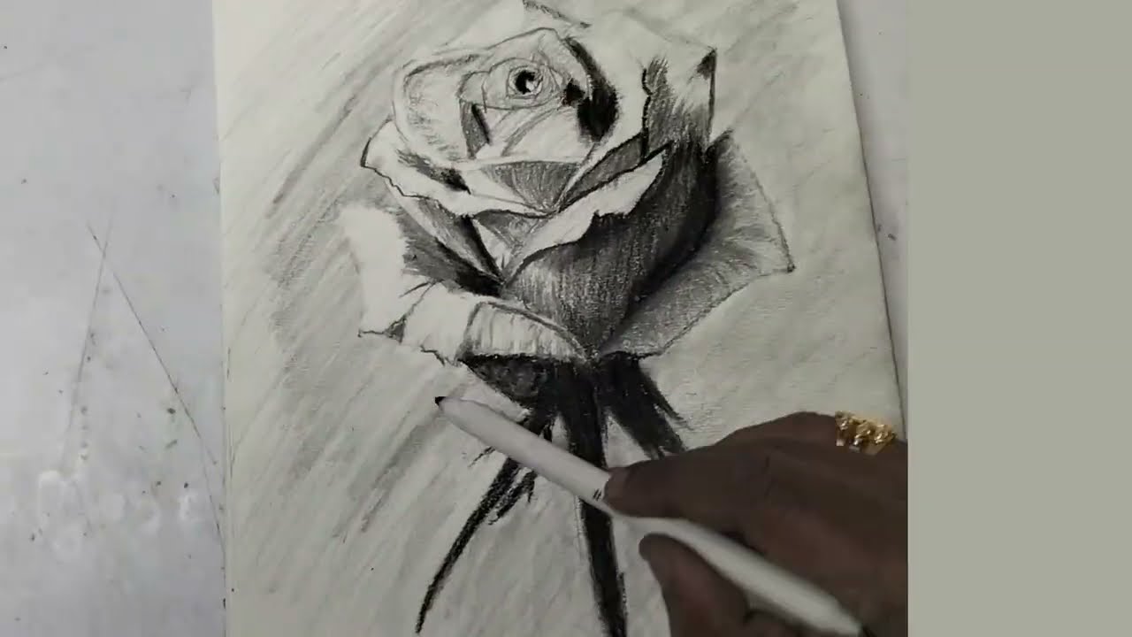 How to Draw a Realistic Rose | Step-by-Step Pencil Drawing Tutorial for Beginners (Day 4)