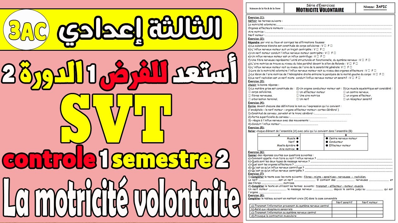 série d'exercices système nerveux motricité volontaires | cours SVT 3AC