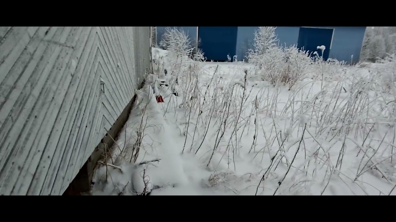 Sunnuntai puuhia+kävely 