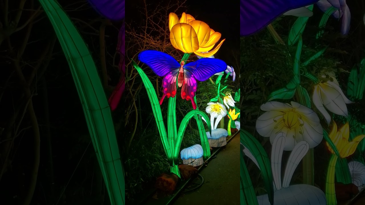 China Lights at the Zoo in Cologne
