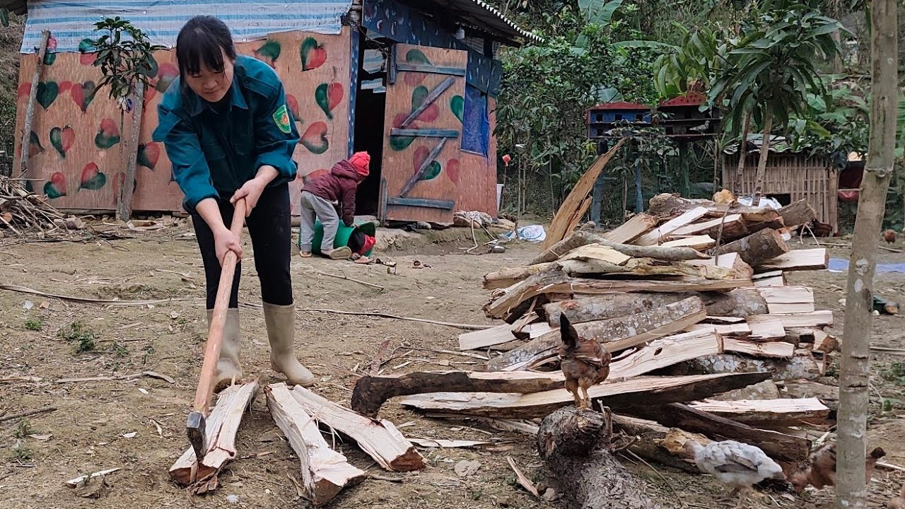 Collecting firewood to welcome the Lunar New Year Tieu Hoa 
