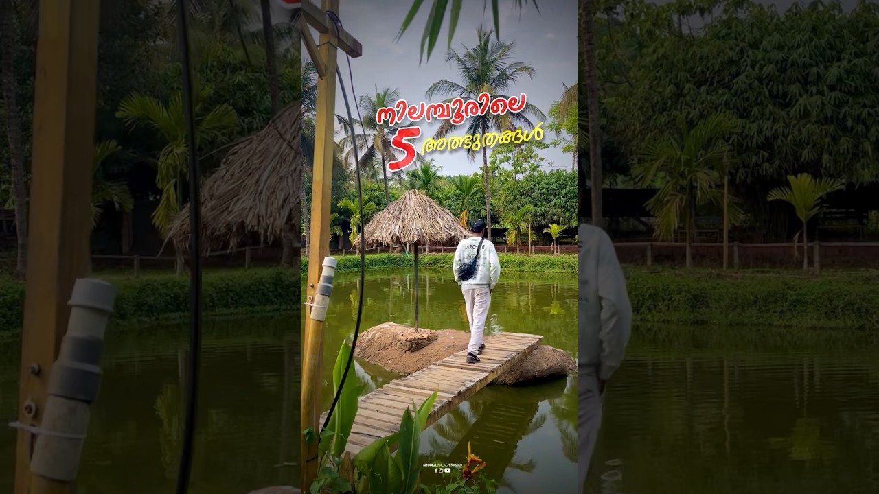 📍Best places to visit Nilambur in 2025 #travel #malappuram #tourist #nilambur #karimbuzha #nedumk...