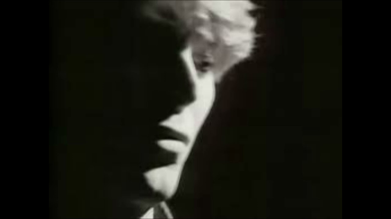 Rajnard sings - David Bowie - Wild is the wind