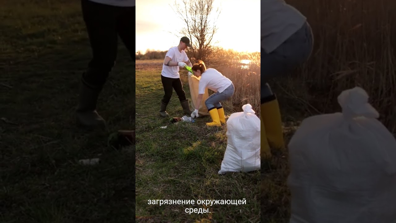 Какое самое экологичное и чистое топливо в мире?
