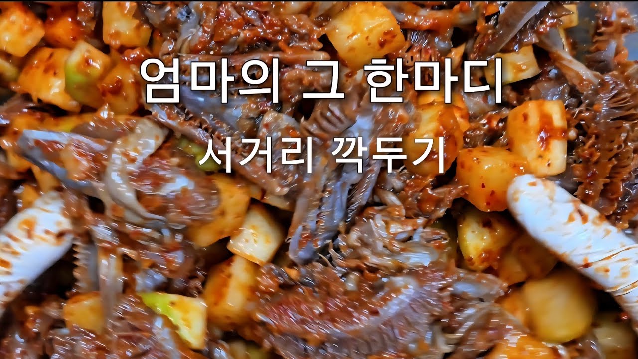 라찌의 하루결 EP.04 | 엄마의 그 한마디, 서거리깍두기 | Mother’s Words, A Taste of Memory