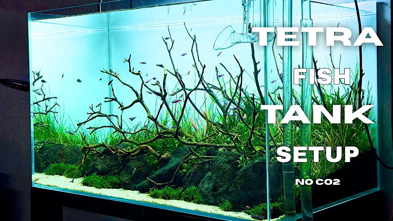 Tetra fish tank setup | Underwater stream aquascape | step-by-step tutorials