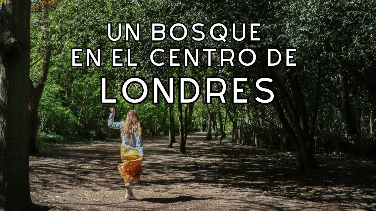 ¿Qué ver en HOLLAND PARK? Ruta completa | LONDRES SECRETO