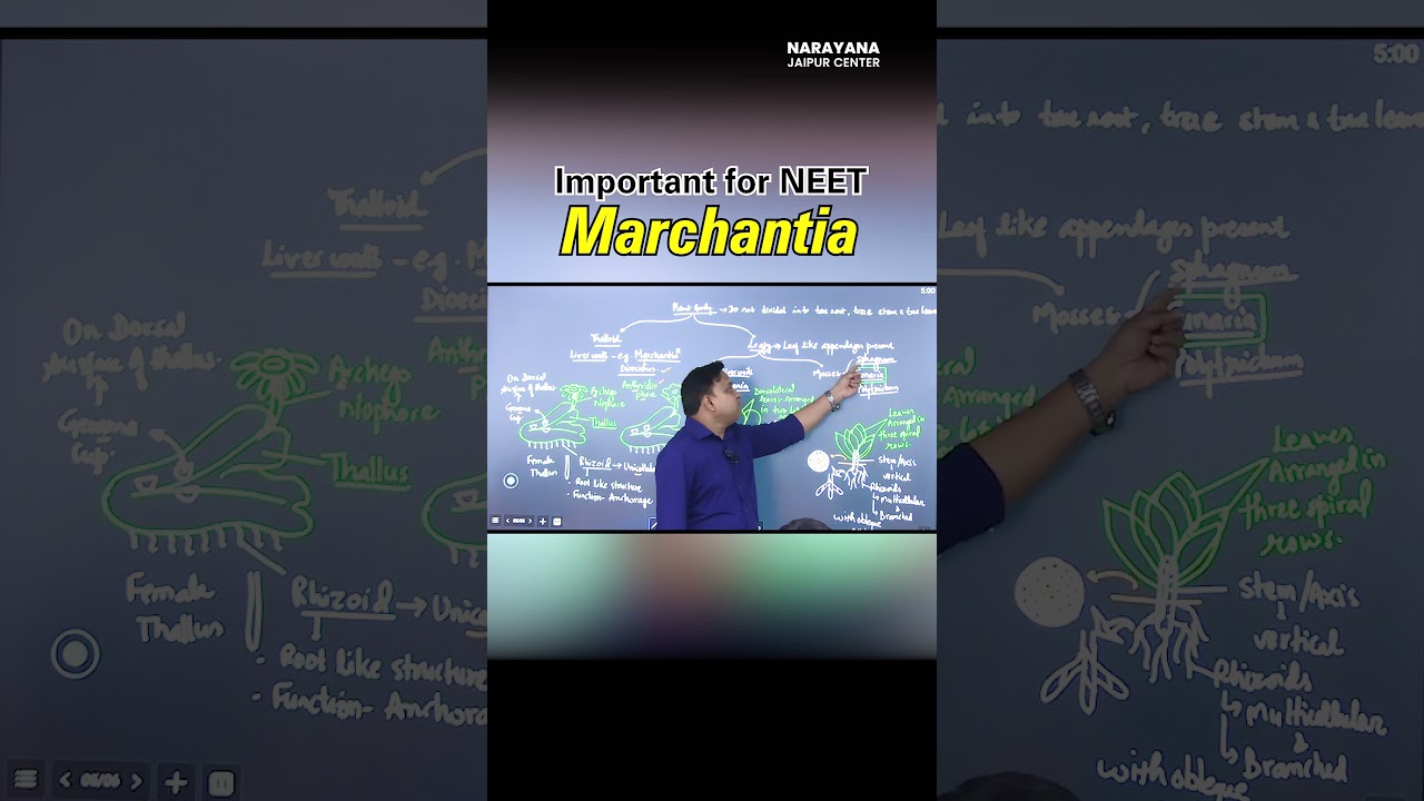 Master Marchantia & Bryophytes for NEET in 2 Mins! 🧠