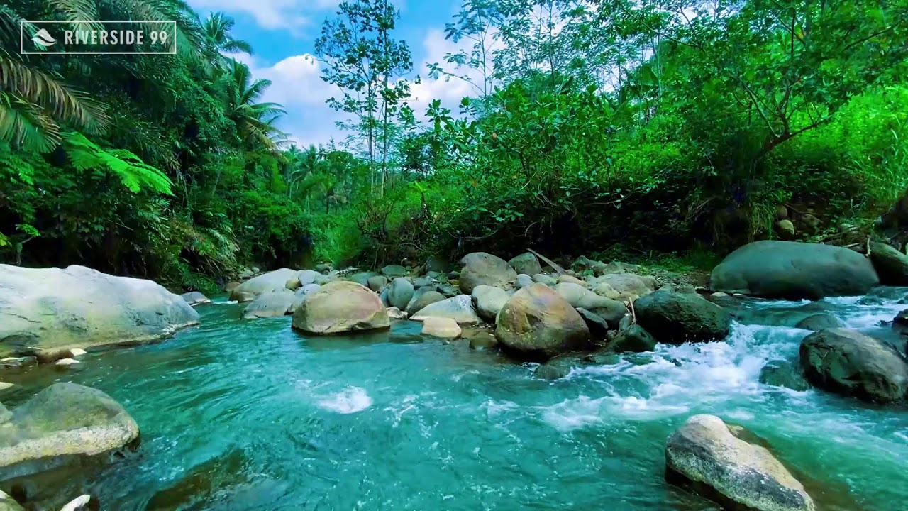 River Sounds for Deep Sleep and Relaxation | Natural Flowing Water White Noise