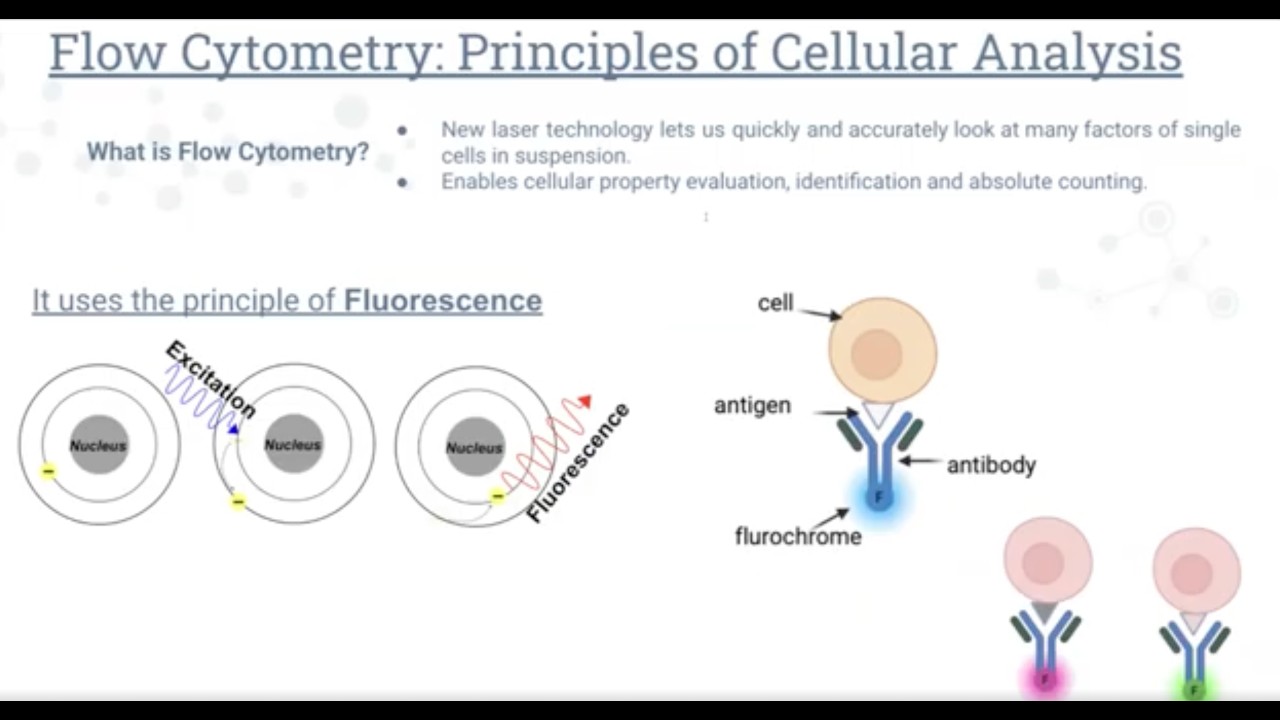 Immunology-Flow Cytometry- 2025 Summer Virtual Showcase