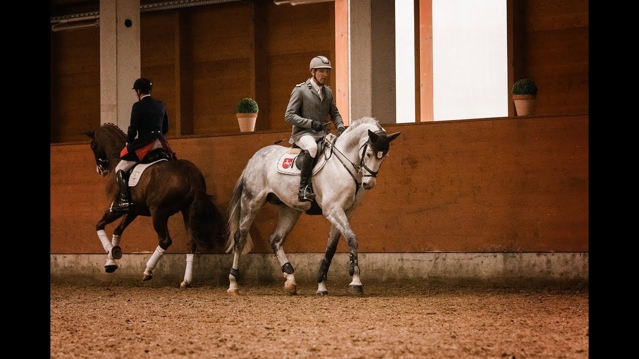 Im Stall mit: Diacontinus