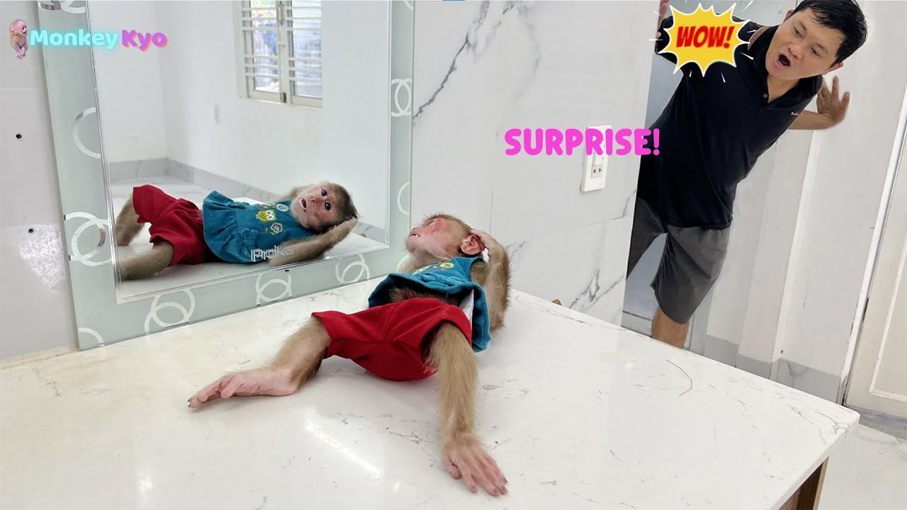 Funny! Kyo ransacks the house for new clothes fans gave her – to do THIS!