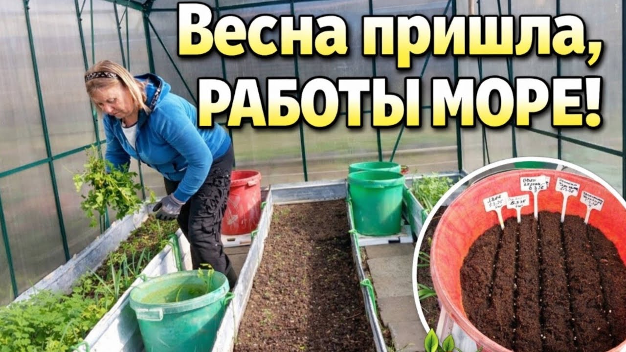 Весна началась — и понеслось!😅 томаты, морковь, горох… и ещё куча работы!