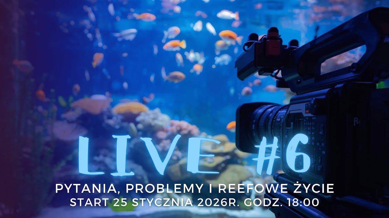 LIVE #6 | Akwarium morskie bez ściemy – pytania, problemy i reefowe życie