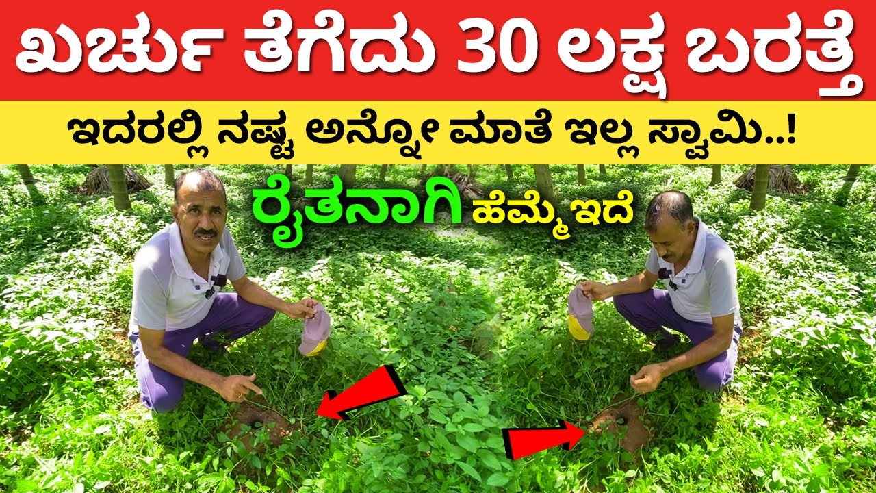 ಈ ರೀತಿ ಮಾಡಿದ್ರೆ ನಷ್ಟದ ಮಾತೆ ಇಲ್ಲ | Modern Farming in Karnataka farming business ideas Krushi #kannada