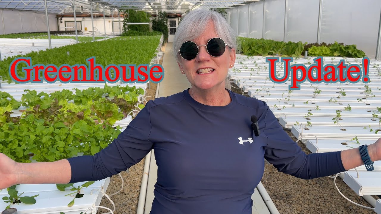 Discover the Secrets Behind the Thriving Hydroponic Greenhouse.