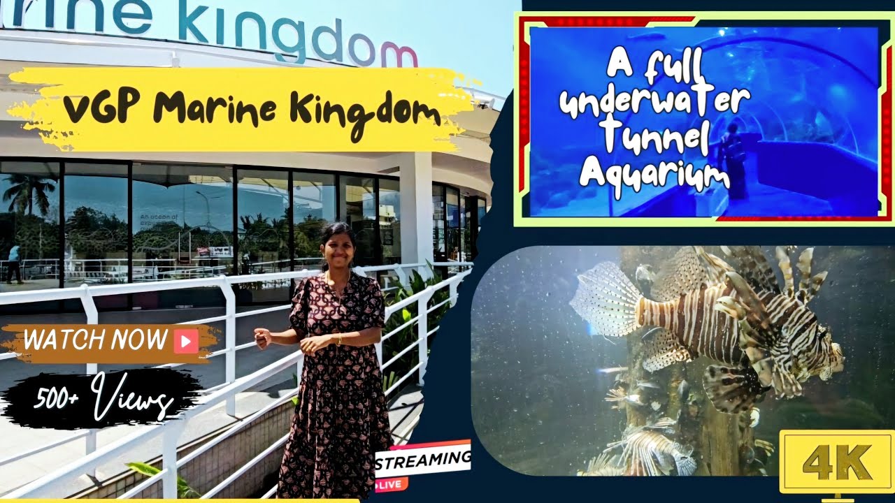 VGP Marine Kingdom 2024 |  Best Underwater aquarium in Chennai | Spent time with kids | Vlog #1