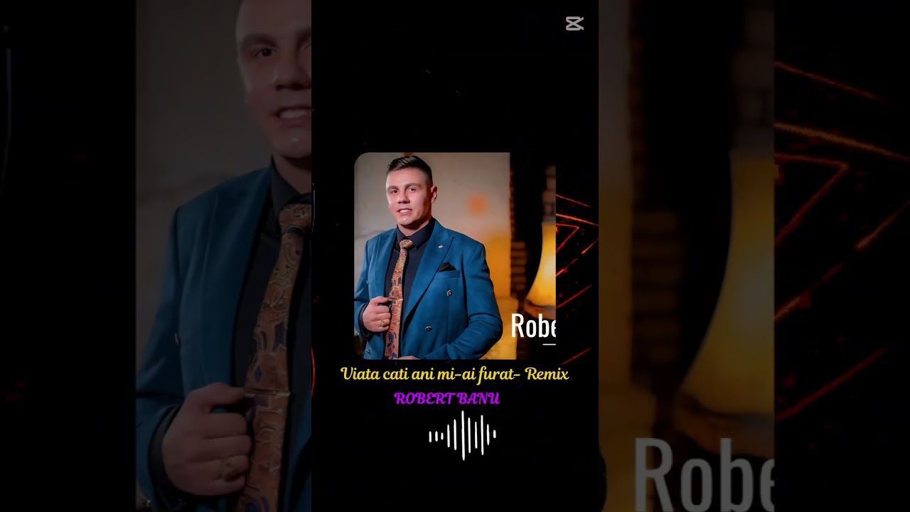 Viata cati ani mi-ai furat (Remix 2025) 🔥 Bass Boosted