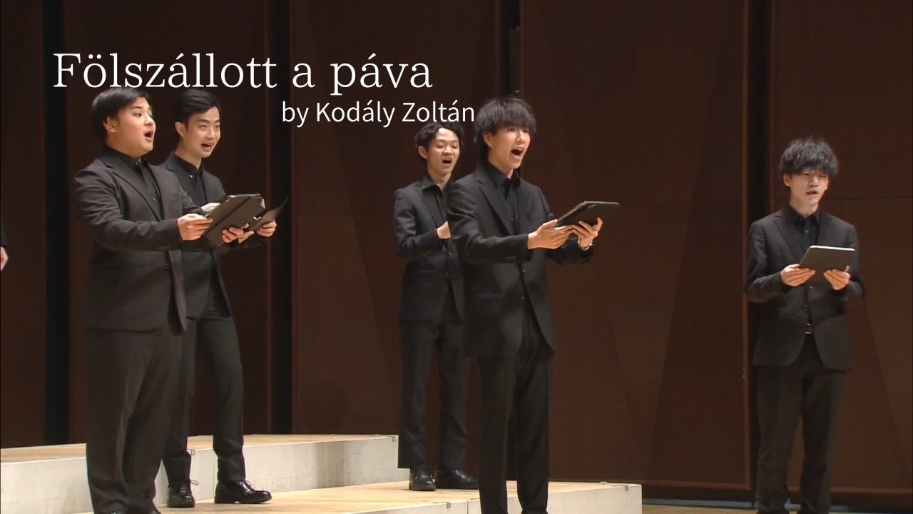 Fölszállott a páva /Voces Veritas