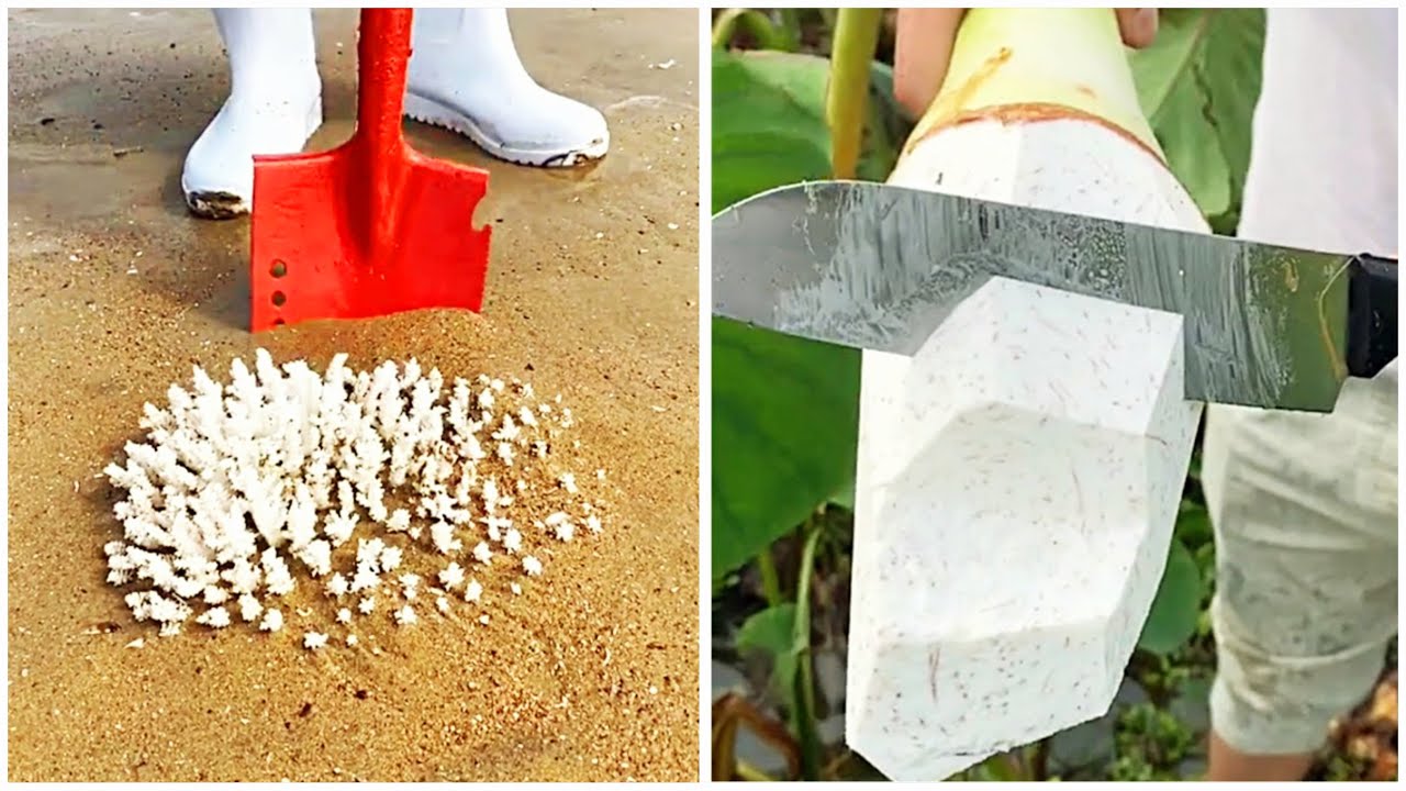Satisfying and Relaxing Compilation in Tik Tok #170 | Enjoy and Relax with videos with millions view