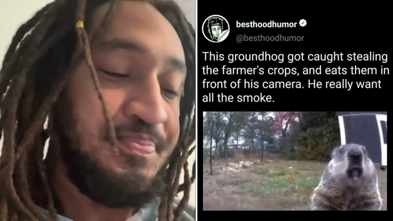 Самый НЕУВАЖИТЕЛЬНЫЙ СУРОК НА ЗЕМЛЕ😂🥕