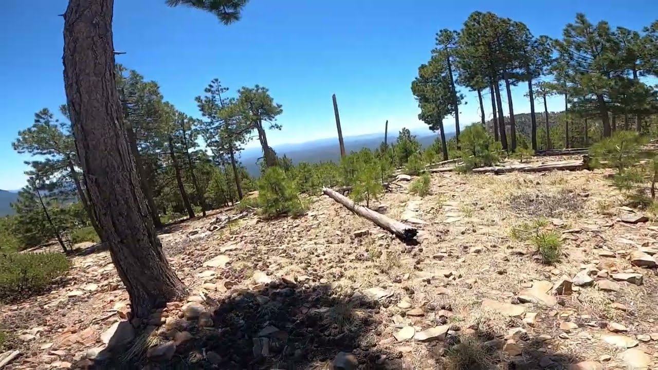 Arizona: The Mogollon Rim