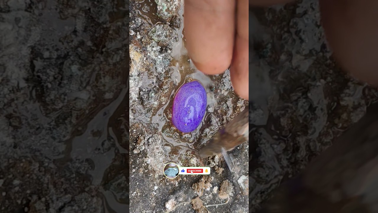Bay Diamond Hunter Finds Purple Quartz Agate 💎 Rare Gemstone Discovery!