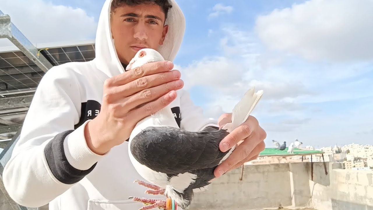 جبنا طيرين عساكر  امرتبين 💥🤔