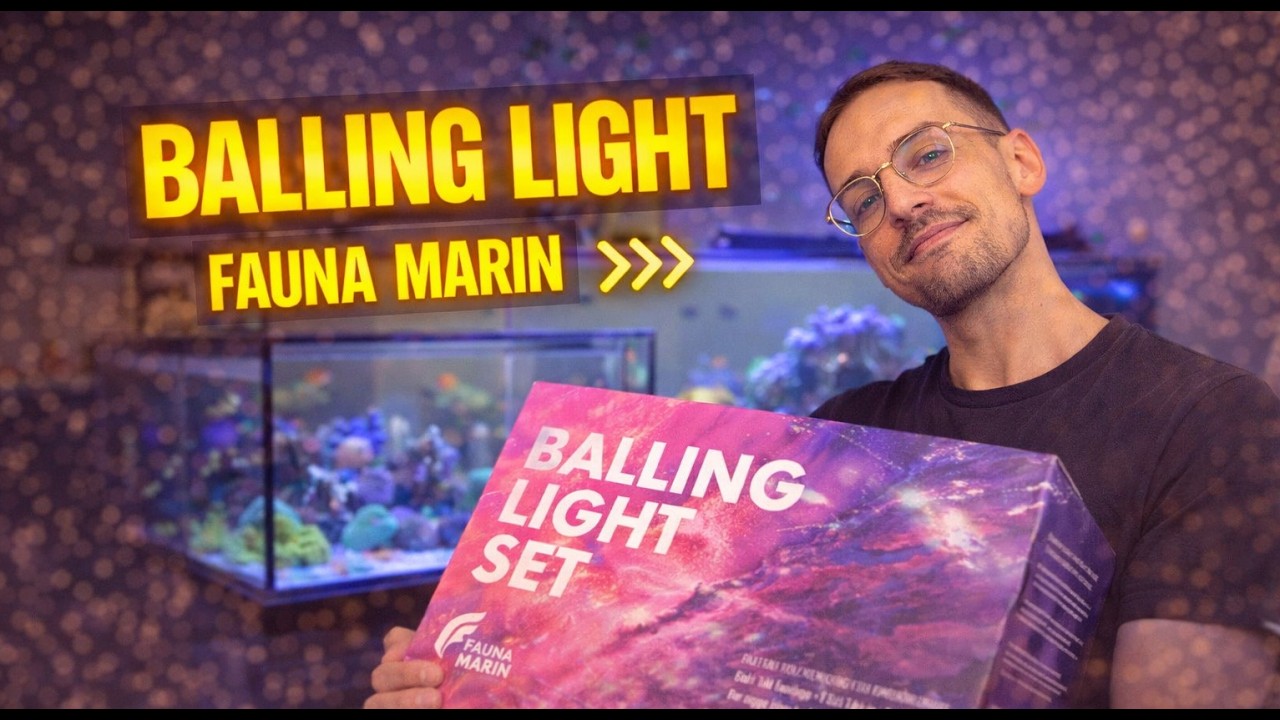 👉 Balling Light Starterset erkl&auml;rt | Von Ready2Reef zu Fauna Marin Balling Light