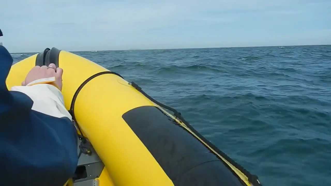 RIB - Tour, Tweety-TV, Nordsee, Cuxhaven-Helgoland - Tornado 5.4, Valiant V-520