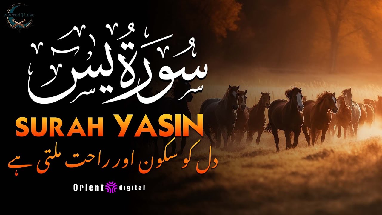 Surah Yaseen with Urdu & Hindi Translation | Beautiful Quran Tilawat by Sheikh Omar Qraitna | اردو