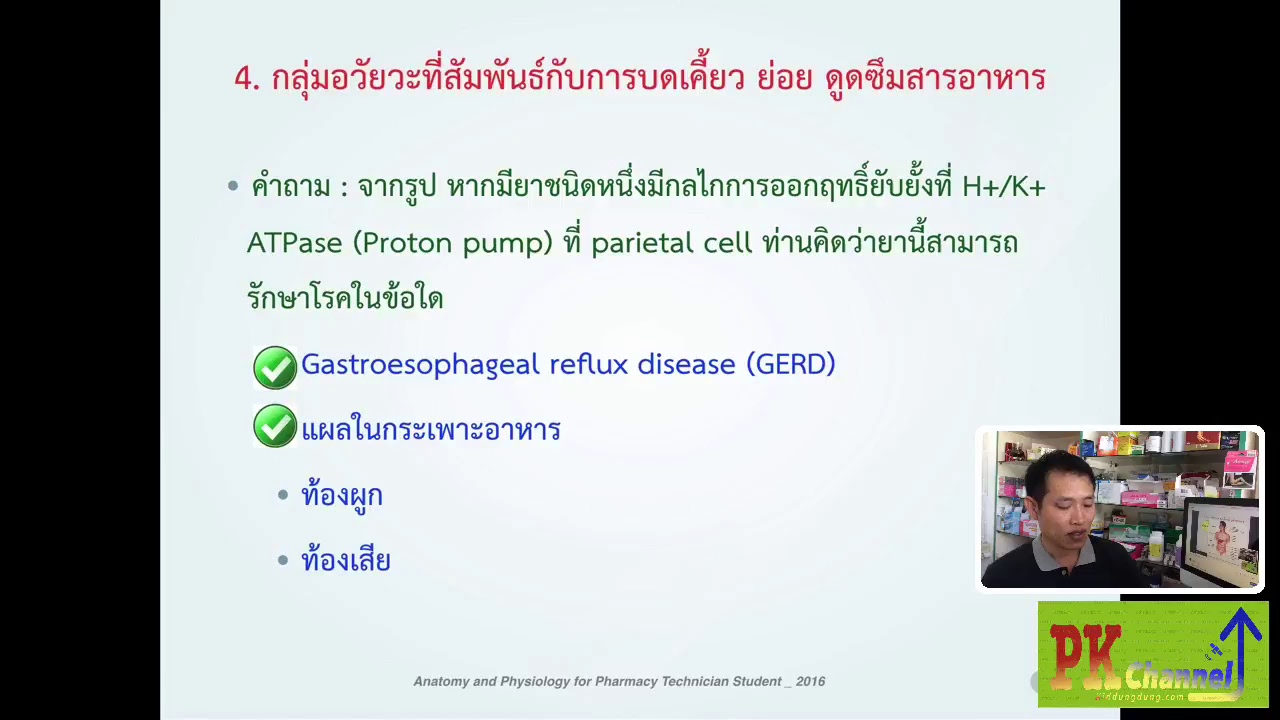 Anatomy-Complexity3_เทคนิค ปี 1 SCPHUB