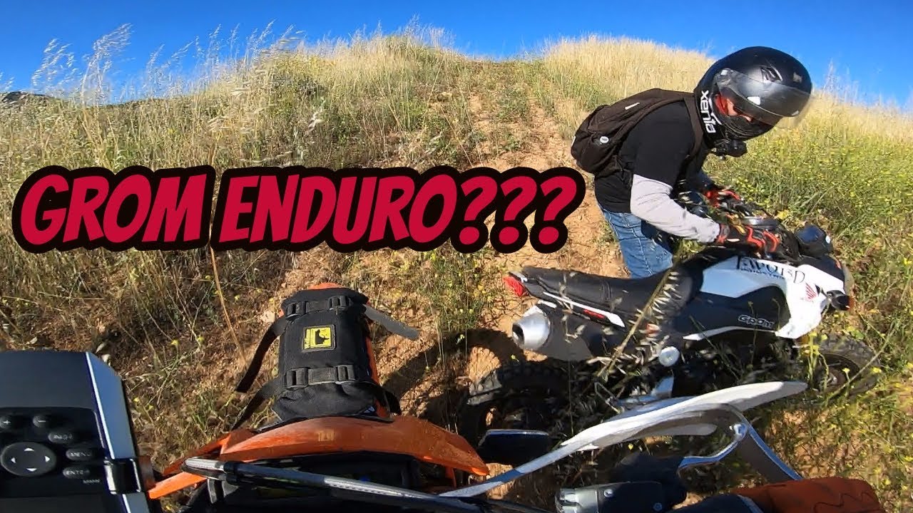 Does a Grom Dual Sport? | Mid Week Ride Out | Broken Enduro