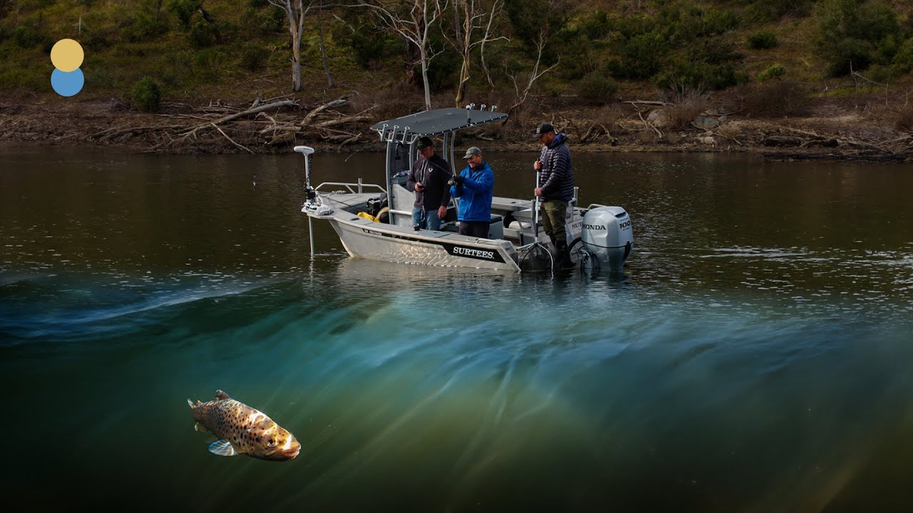 Fishing the Snowy Mountains and Tasmania for Brown and Rainbow Trout.