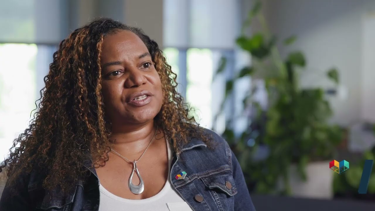 The National Quality Mentoring System