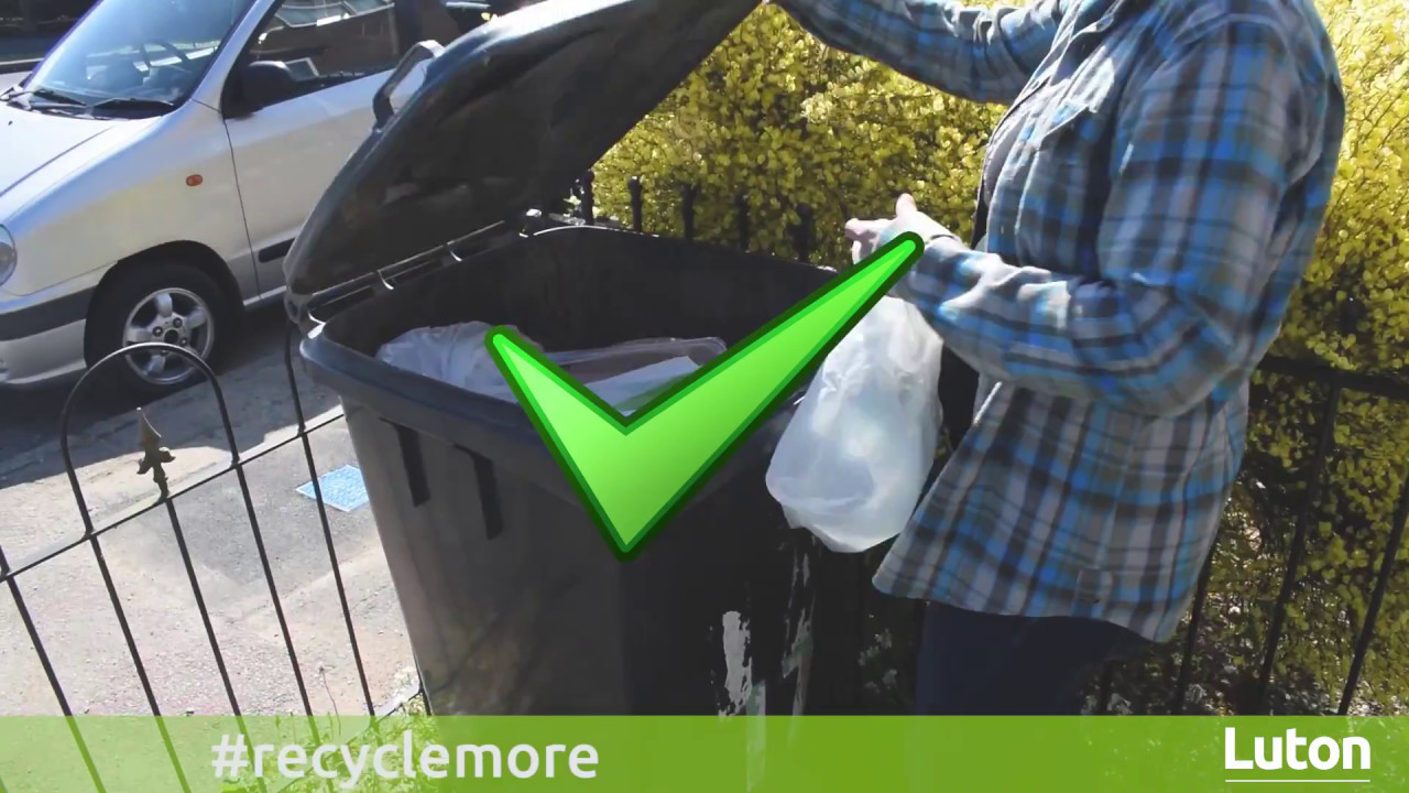 What goes in your green bin?