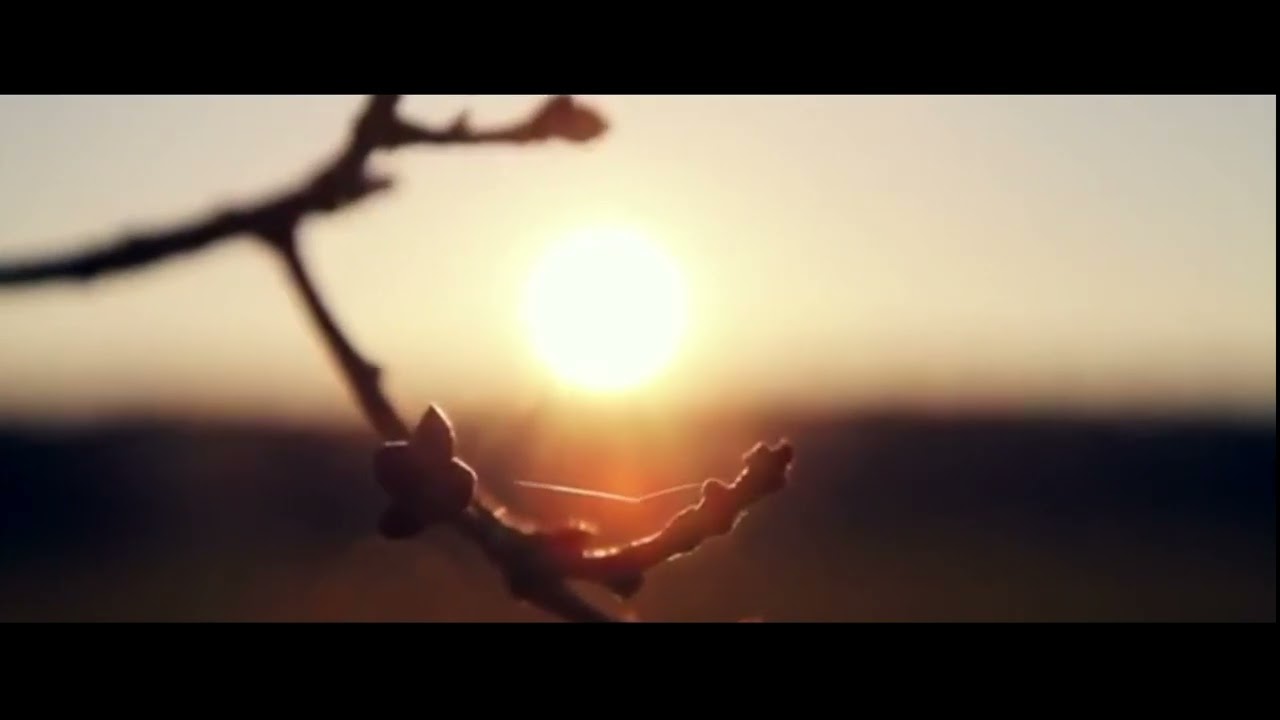 Dreams