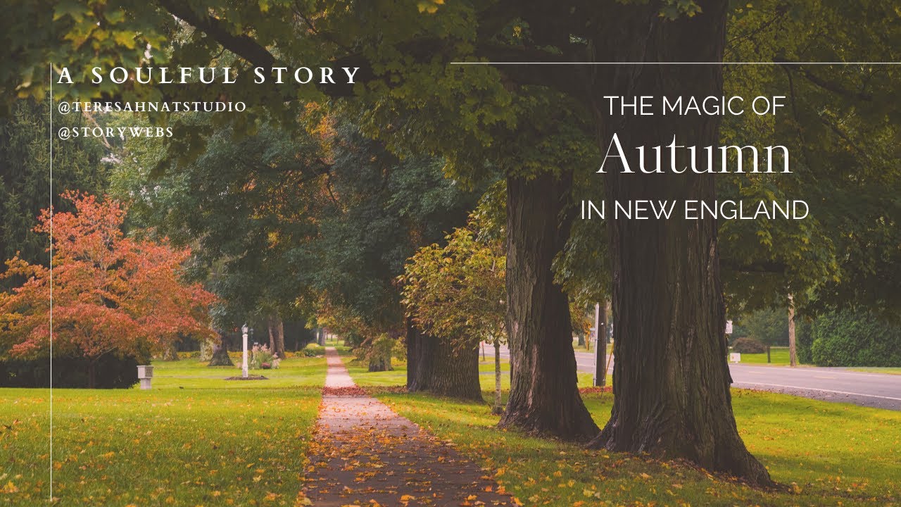 NEW ENGLAND STORIES🍁 THE ULTIMATE FALL EXPERIENCE