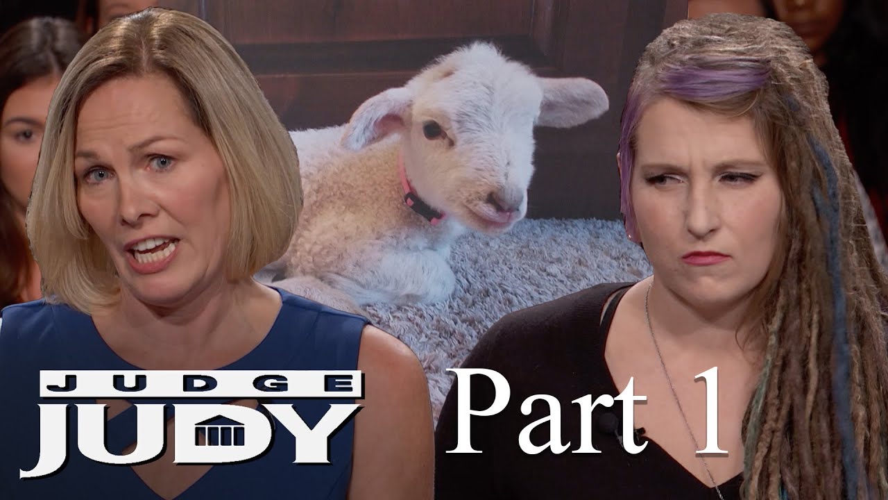 Lady Had a Little Lamb | Part 1