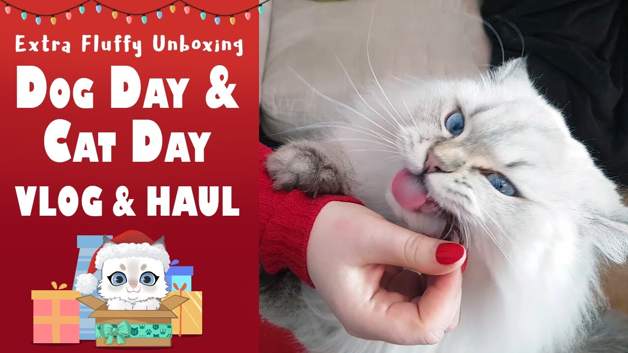 Dog & Cat Day 2019 Vlog + Haul 😺 Extra Fluffy Unboxing 🎁