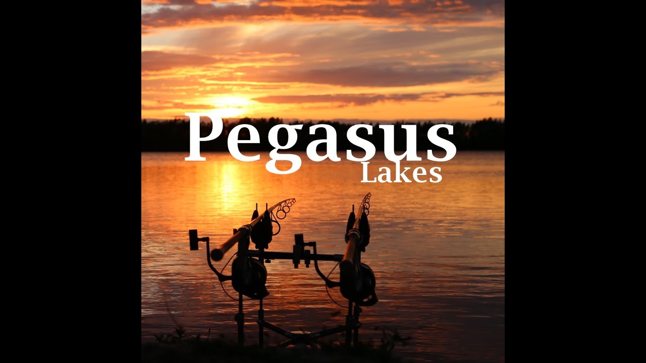Pegasus Lakes Carp Fishing France Trips