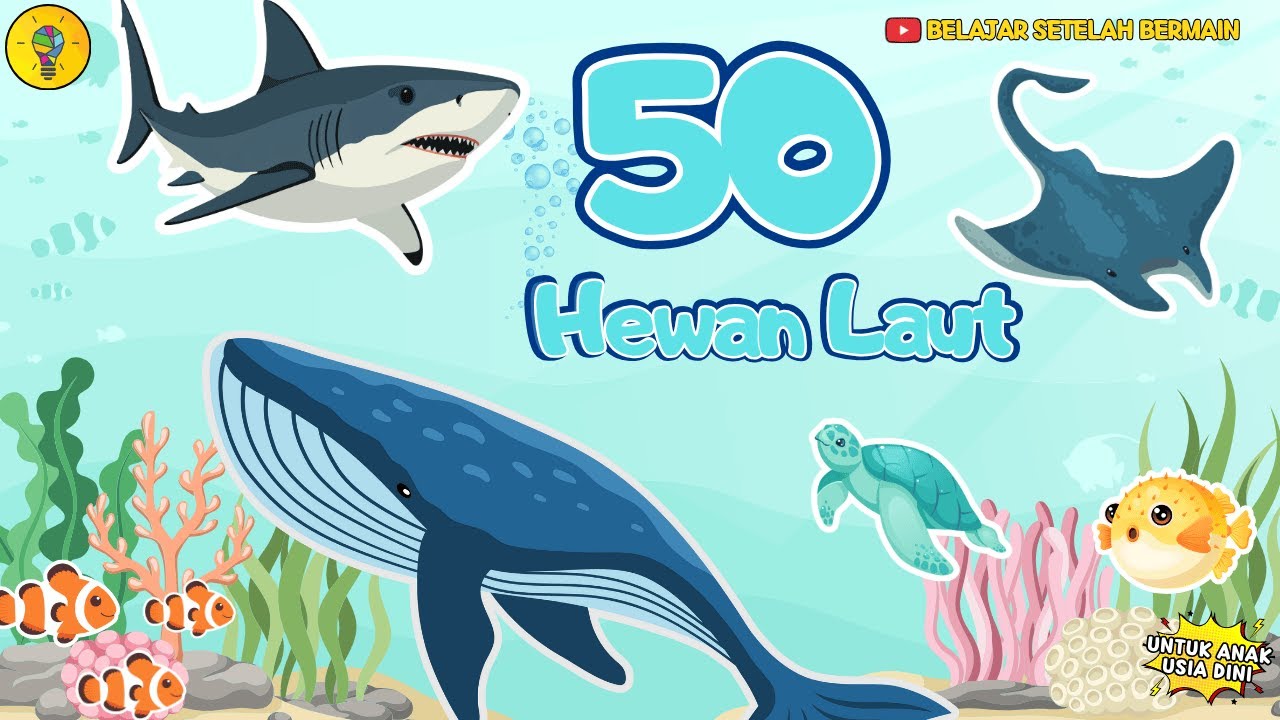 50 Hewan Laut untuk Anak Usia Dini - Belajar Mengenal Nama Hewan Laut untuk Edukasi Anak