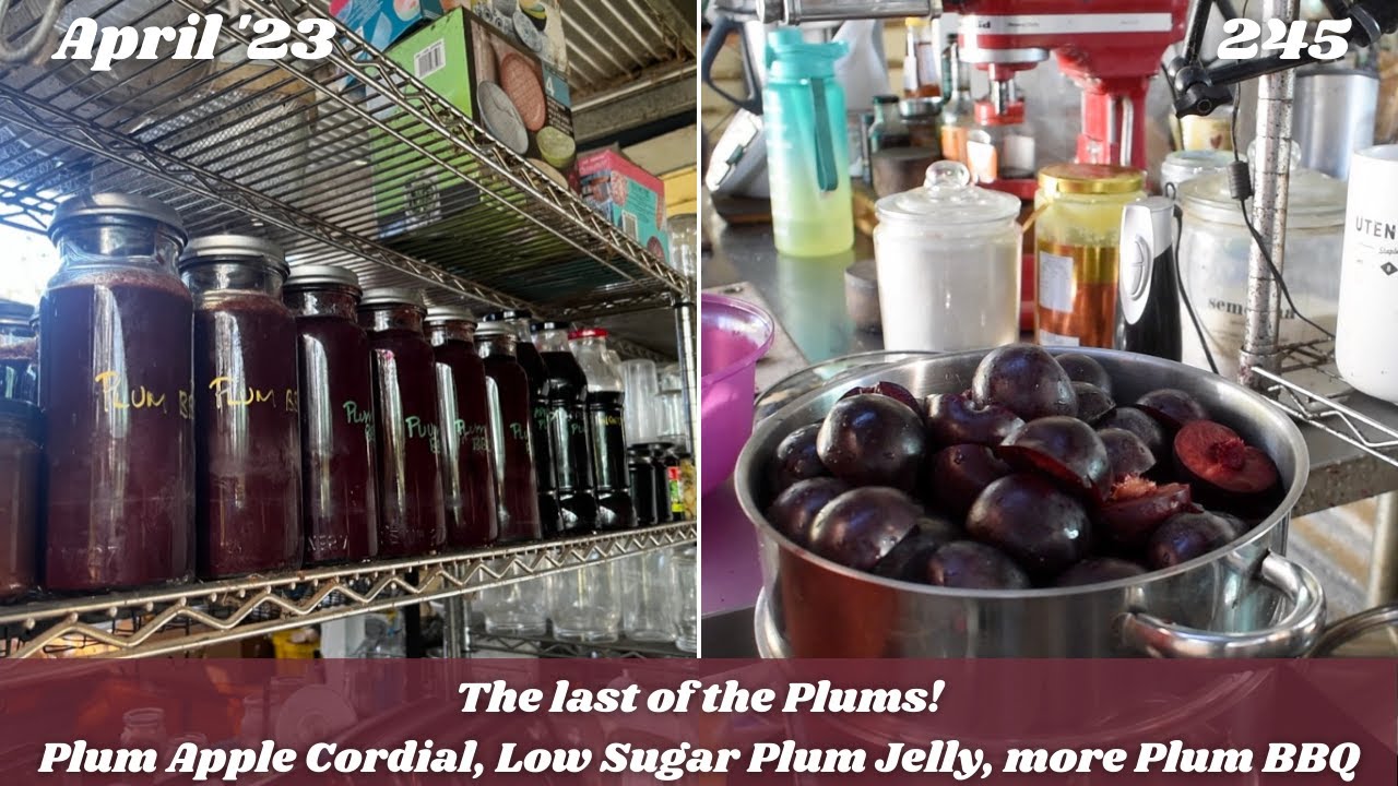 Preserving Plums - Jelly w Low Sugar Pectin, Plum Apple Cordial & more BBQ | Off Grid Australia 245