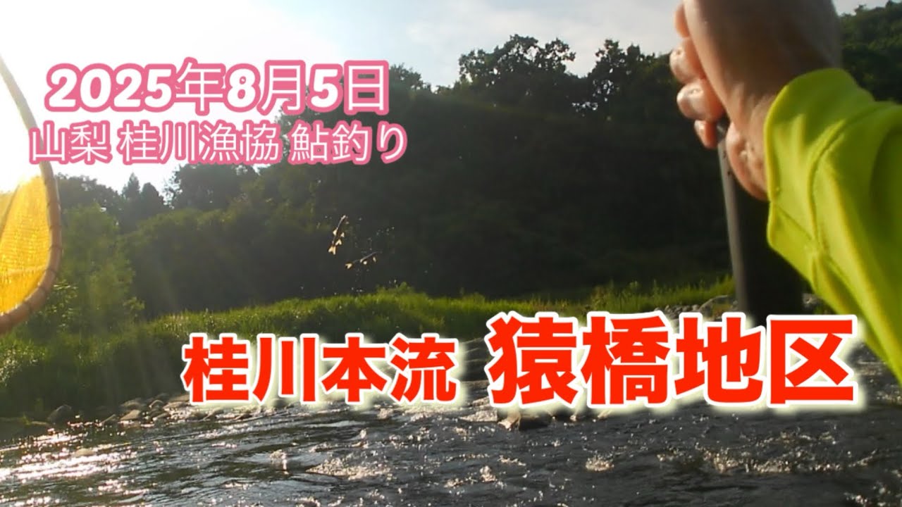 山梨県桂川漁協 桂川本流 猿橋地区 鮎釣り 2025年8月5日 全国の最高気温が更新された暑い日はガラガラでした🤭