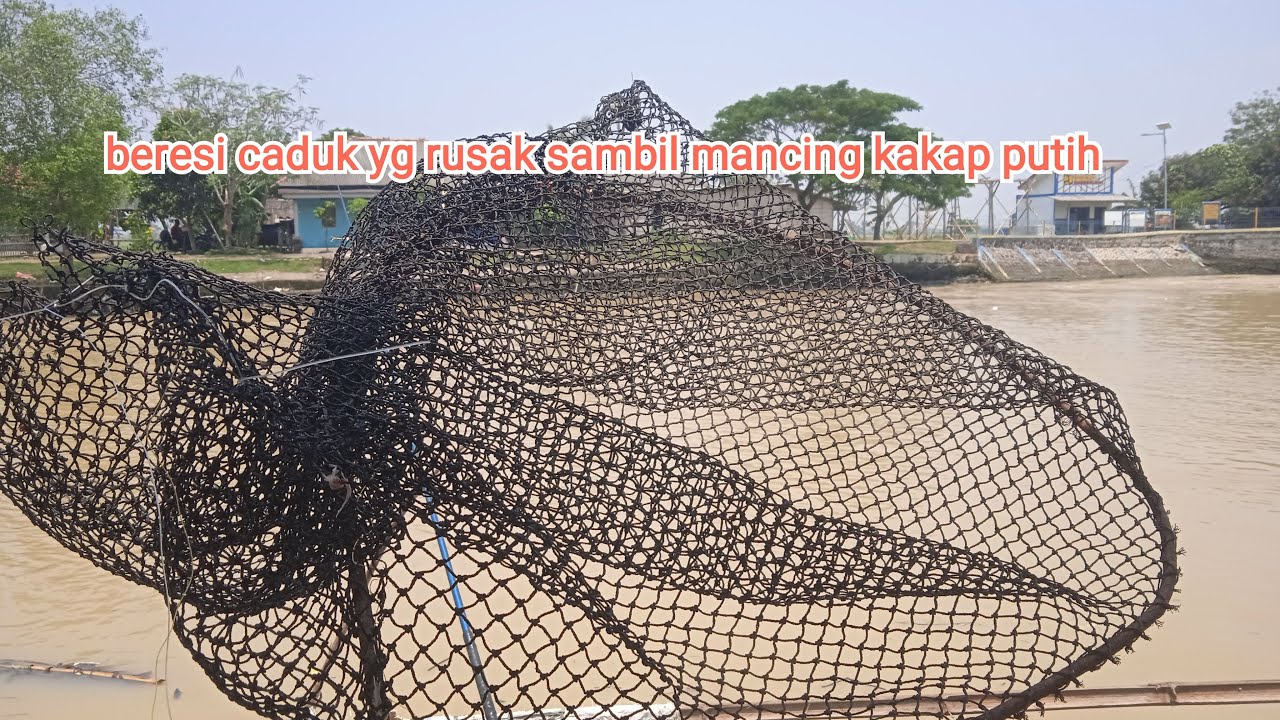 Ino Ncek sedang live sekarang!