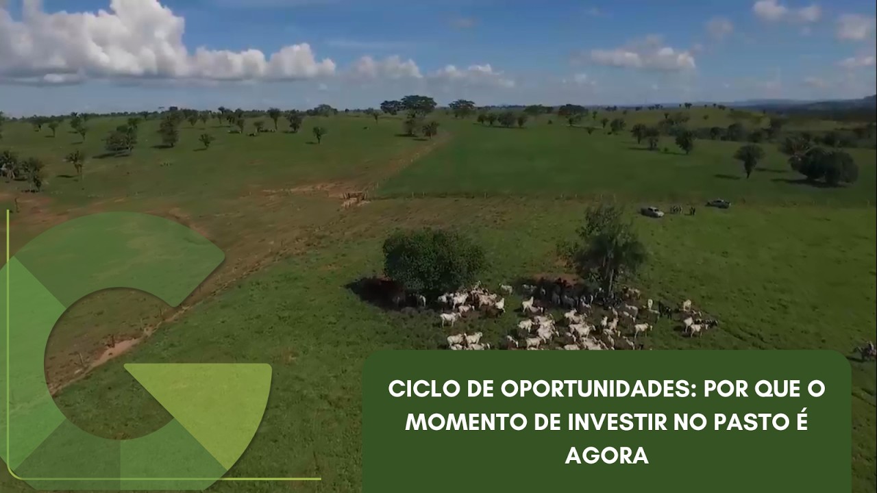 CICLO DE OPORTUNIDADES: POR QUE O MOMENTO DE INVESTIR NO PASTO É AGORA