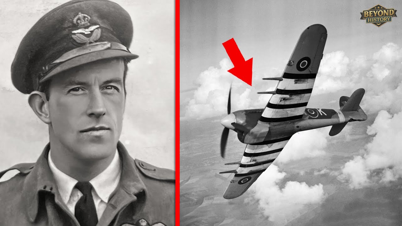 How One "ILLEGAL" WW2 Plane That Took Revenge Alone